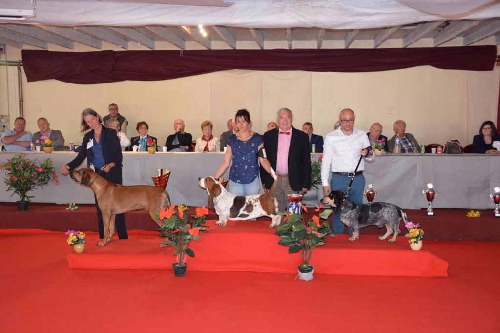 Du Cercle De Léma - Résultats Exposition canine de Vallères 21/05/17