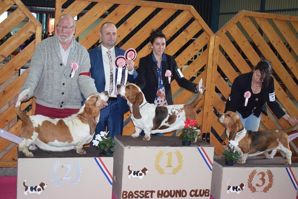 Du Cercle De Léma - Résultats nationale d'élévage et exposition canine de Montluçon