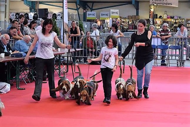 Du Cercle De Léma - Résultats de l'exposition canine de Limoges