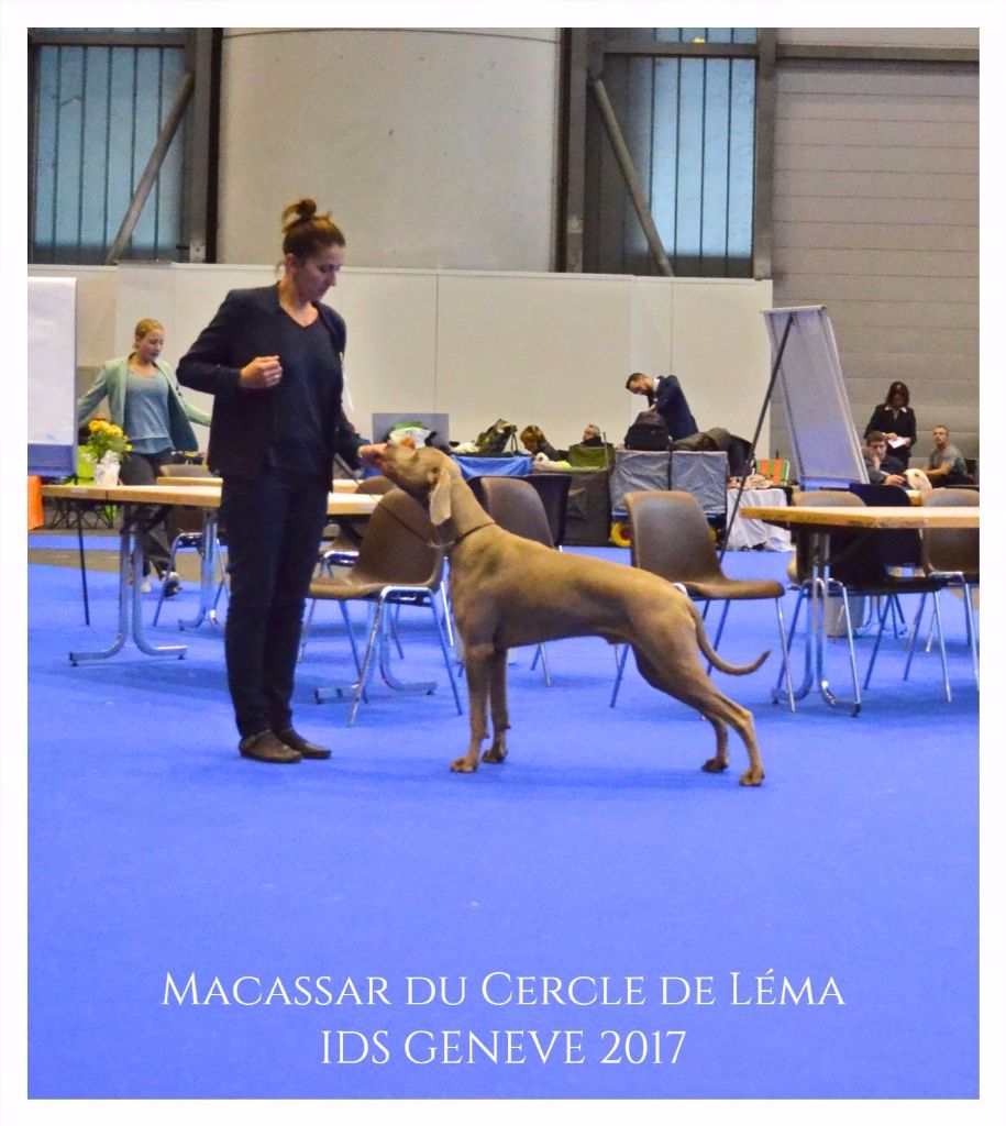 CH. Macassar Du Cercle De Léma