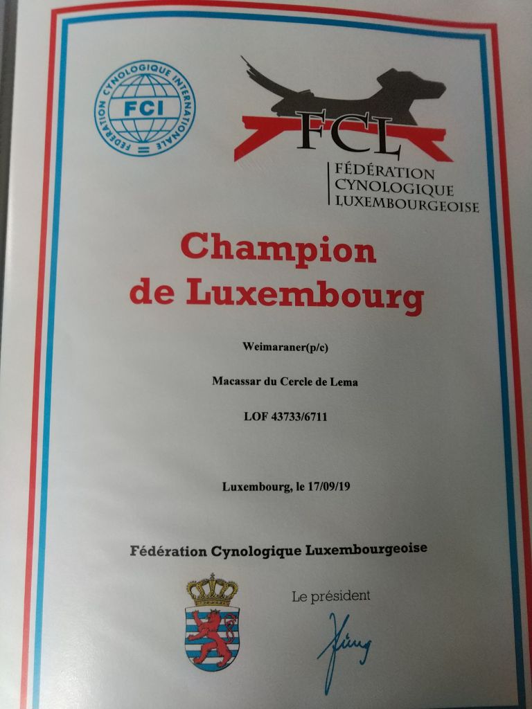 Du Cercle De Léma - C'EST OFFICIEL: Macassar du Cercle de Léma est champion du Luxembourg