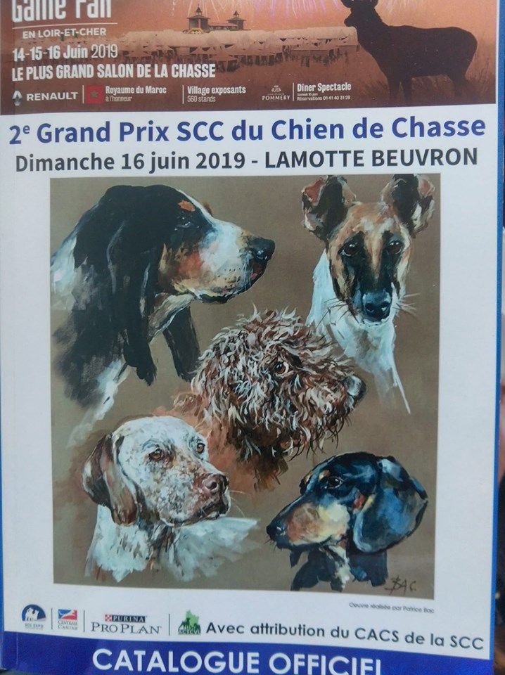 Du Cercle De Léma - GAME FAIRE - 2e Grand Prix SCC du Chien de Chasse.