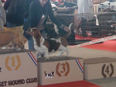 Du Cercle De Léma - Résultat expo canine de Montluçon