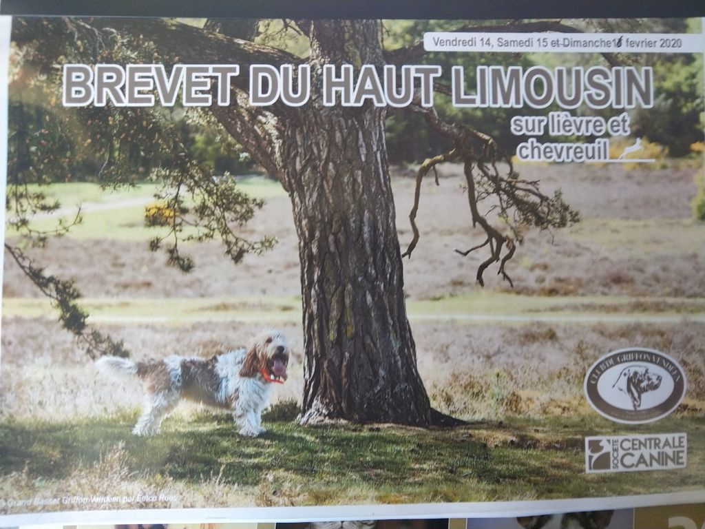 Du Cercle De Léma - Résultats du Brevet Haut Limousin sur chevreuil 15/02/20