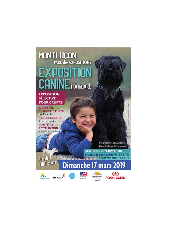 Du Cercle De Léma - Résultats Exposition canine de Montluçon 17/03/19