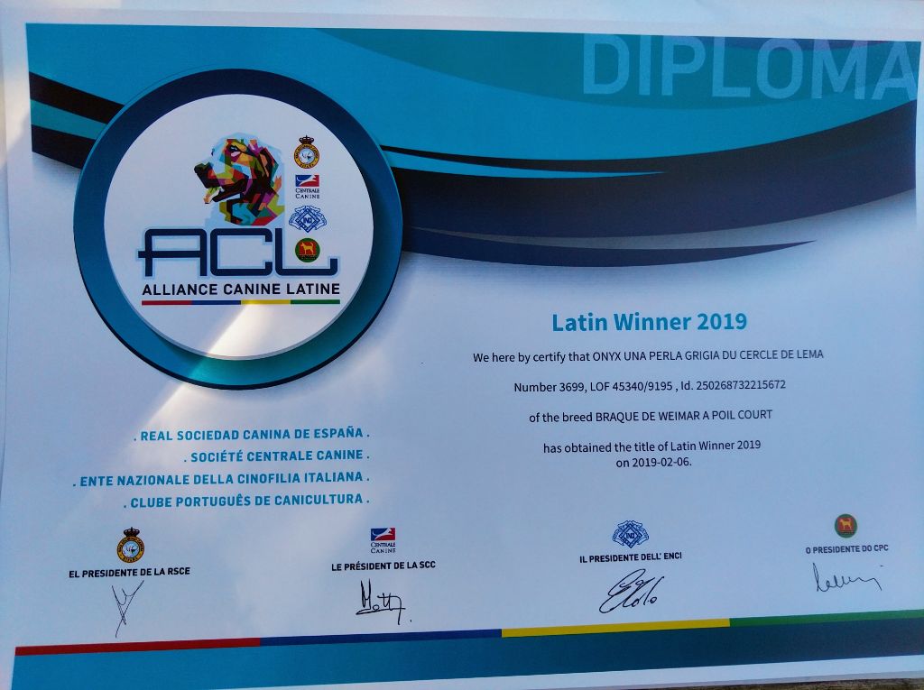 Du Cercle De Léma - Latin winner 2019 pour notre Onyx