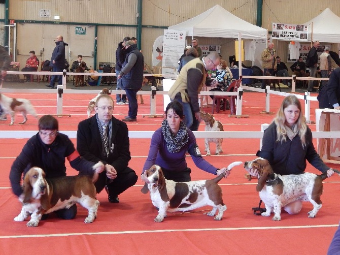 Du Cercle De Léma - GENIAL: Résultat de l'exposition canine de Châteauroux