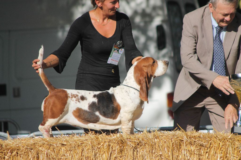 Du Cercle De Léma - Résultats Exposition canine de Dompierre 09/09/18
