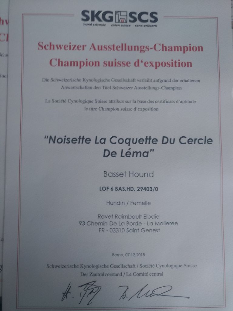Du Cercle De Léma - Noisette est officiellement Jeune  Championne Suisse.