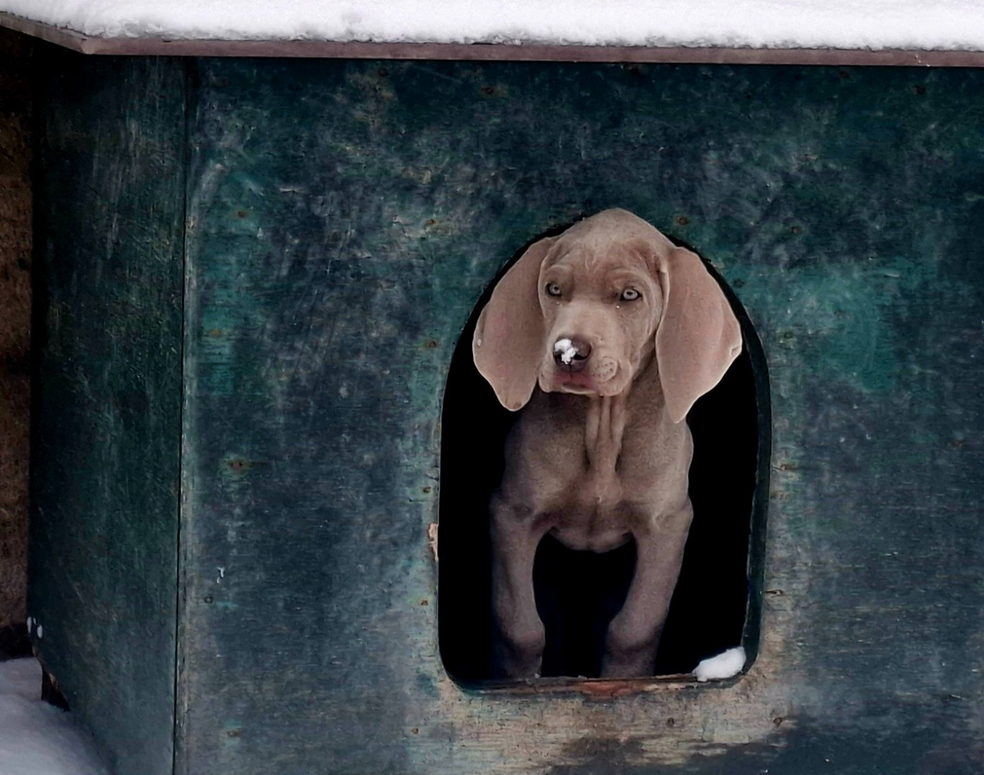 Austin Du Cercle De Léma