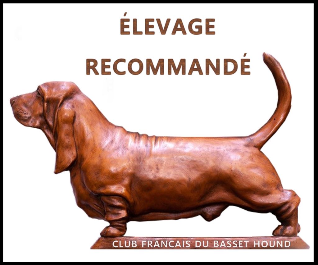Du Cercle De Léma - Le Cercle de Léma