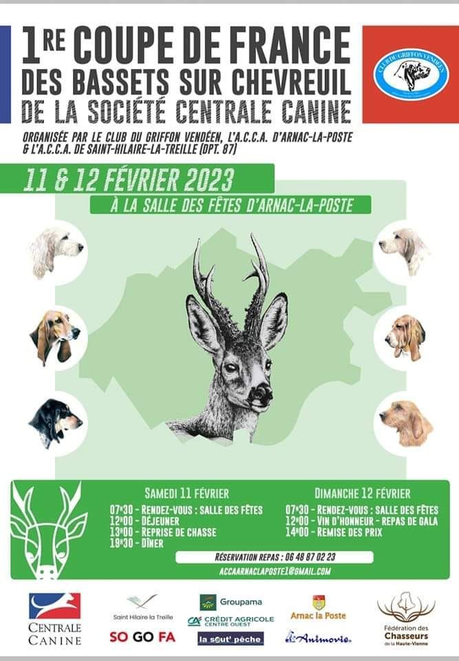 Du Cercle De Léma - 1ere Coupe de France des Bassets sur Chevreuil