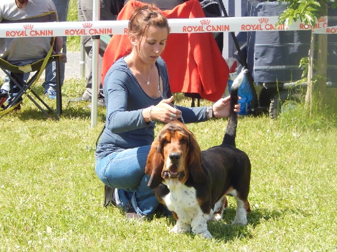 Du Cercle De Léma - Résultat exposition canine TOURS le 17/05/15