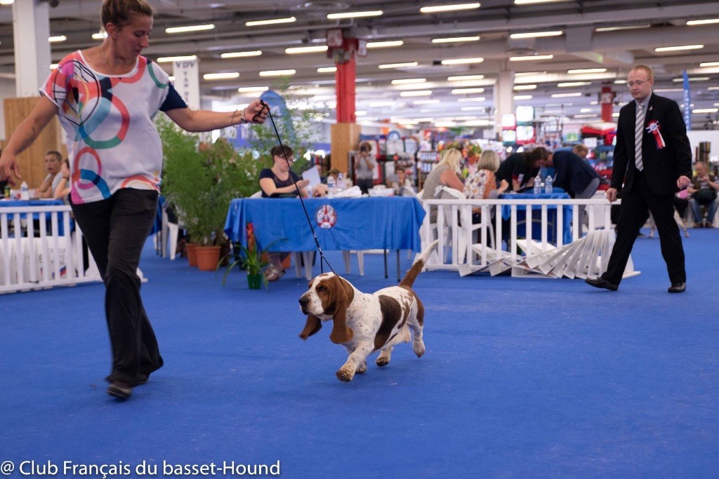 Du Cercle De Léma - CHAMPIONNAT DE FRANCE 2018