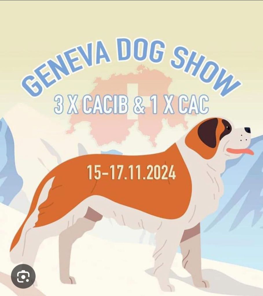 Du Cercle De Léma - Résultats Dog show Genève 2024