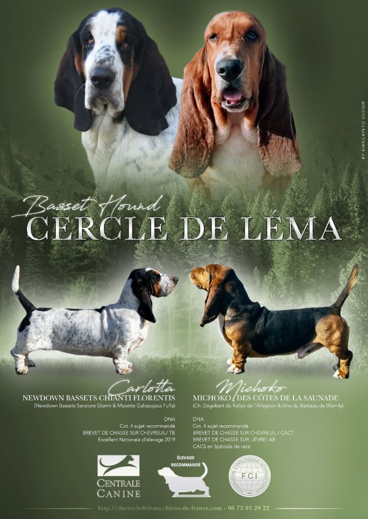 Du Cercle De Léma - Un superbe mariage en perspective!