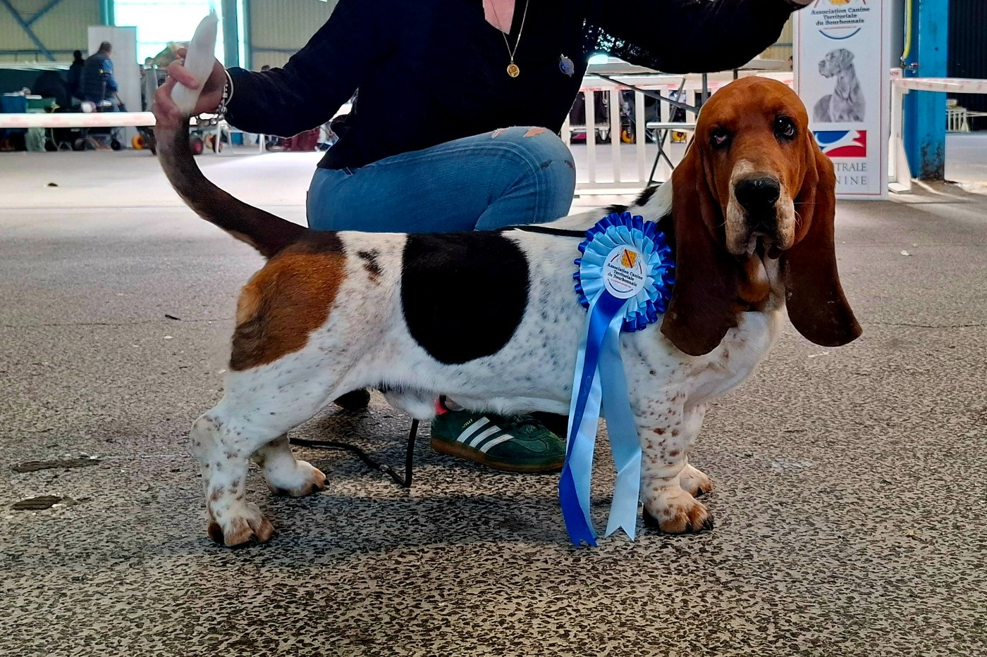 International Dog show Montluçon