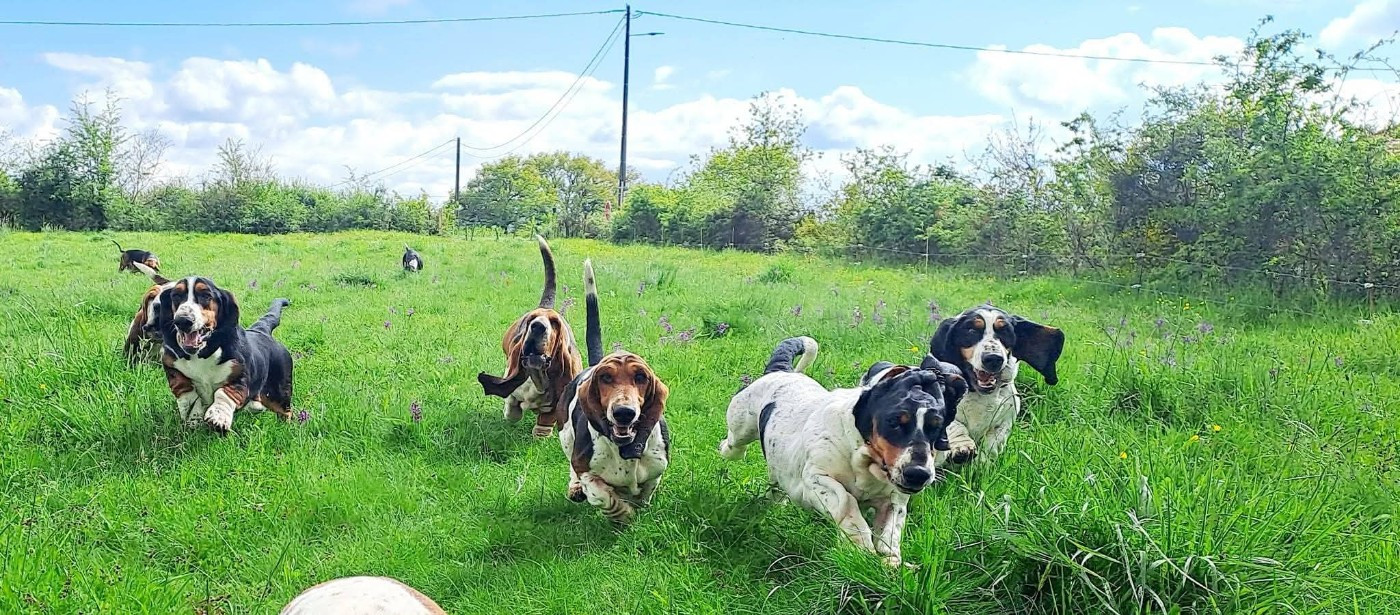 Résultats Brevet de Travail Rancon (Haute Vienne)