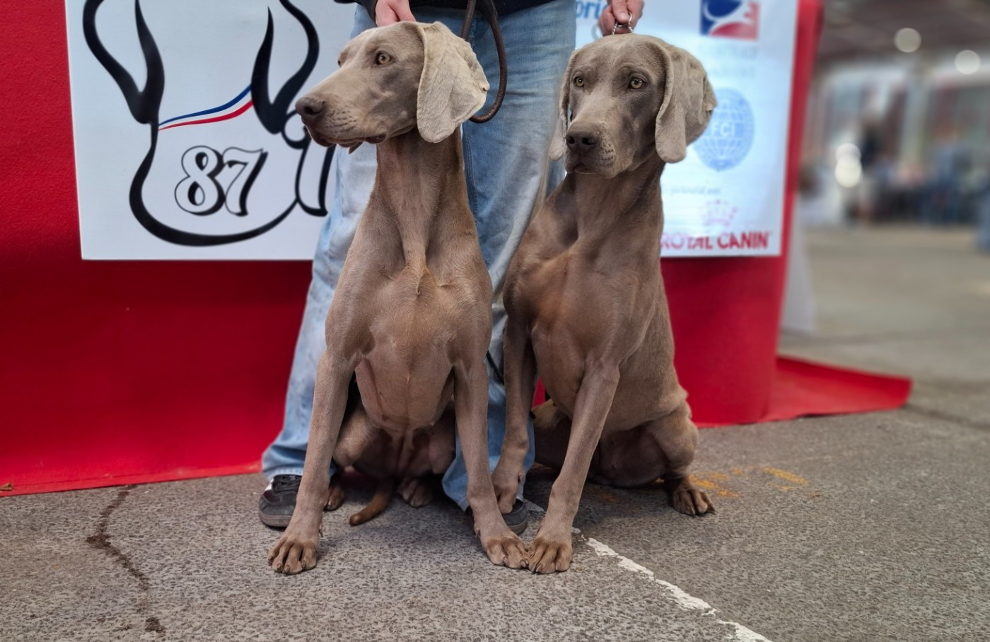 Ankara et Vérone du Cercle de Léma
