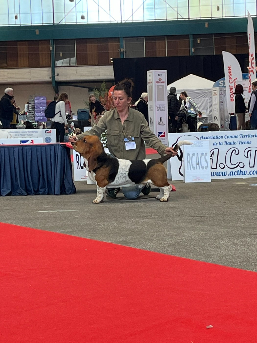 Résultats IDS Limoges 2026