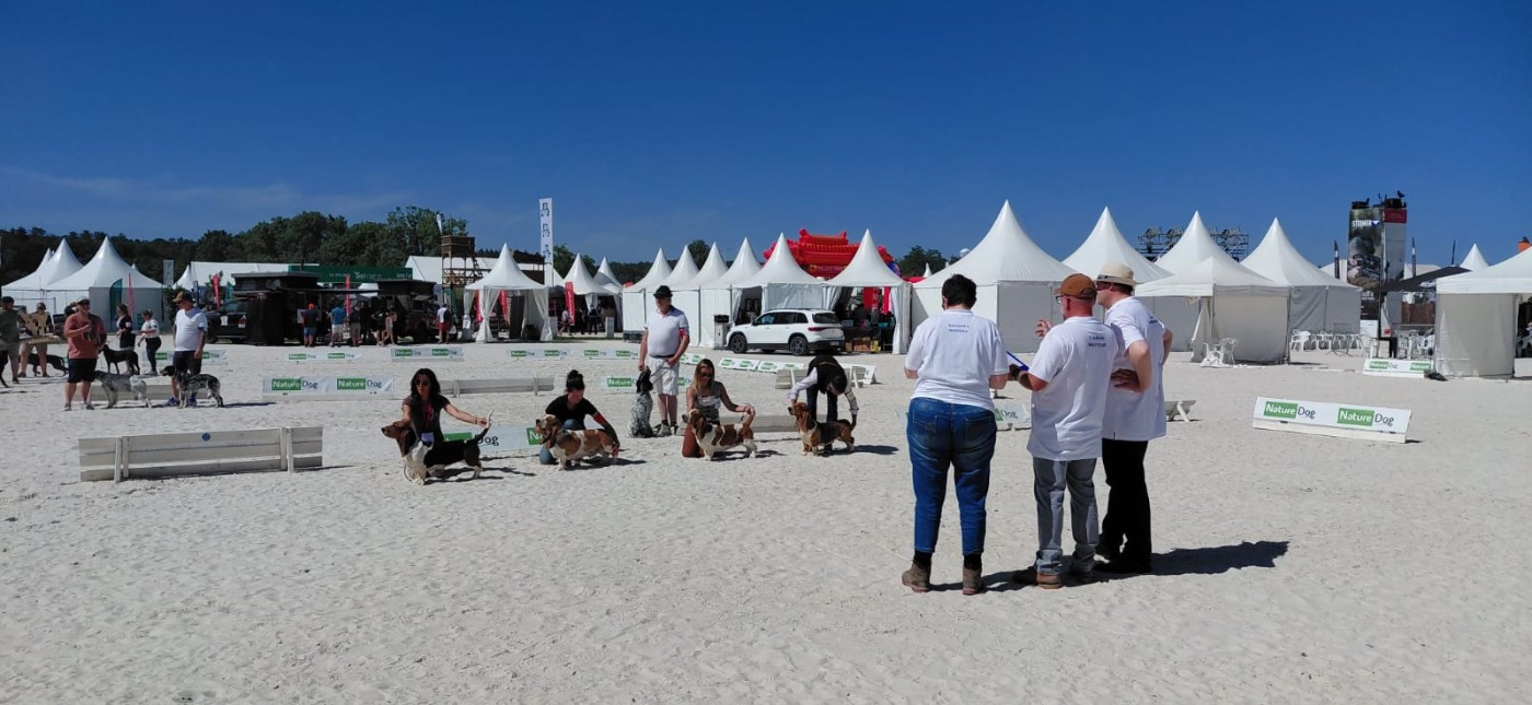 NATIONALE D'ÉLEVAGE 2026 GAME FAIR