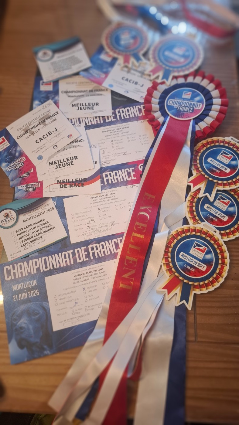 Championnat de france scc 2026