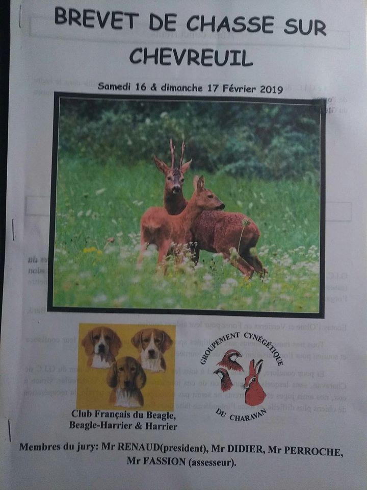 Du Cercle De Léma - Brevet de chasse sur Chevreuil le 16/02/19 Bard 42600