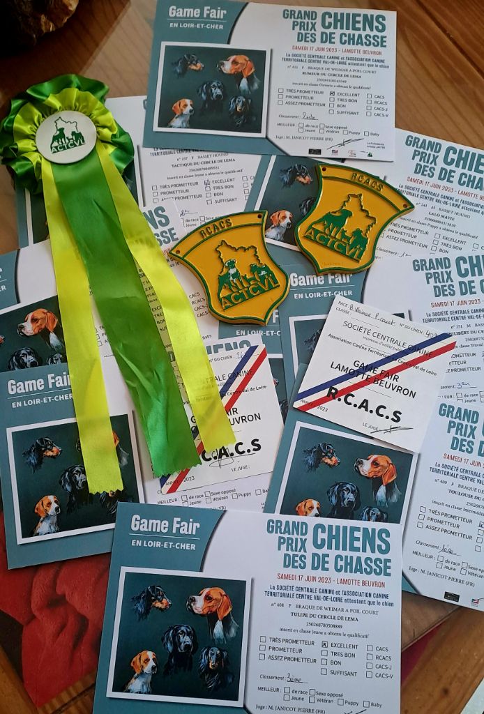 Du Cercle De Léma - Nos Résultats GAME FAIR Grand prix des Chiens de Chasse