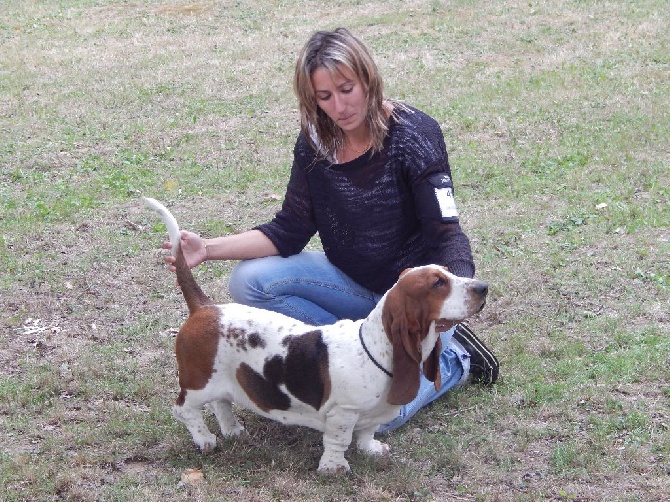 Du Cercle De Léma - Résultat Exposition canine Dompierre