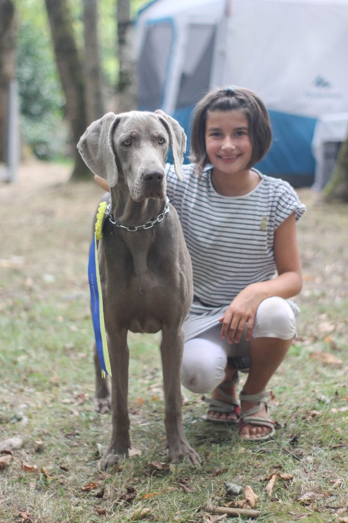 Du Cercle De Léma - Résultats Exposition canine de Dompierre 09/09/18