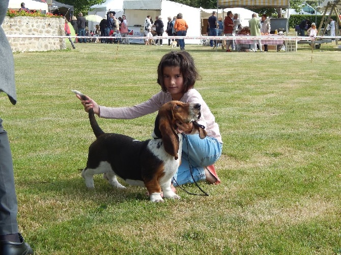 Du Cercle De Léma - Résultats Exposition canine de Cressat