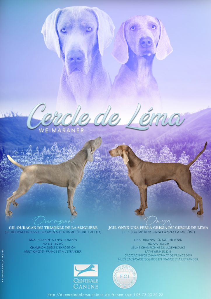Du Cercle De Léma - New litter