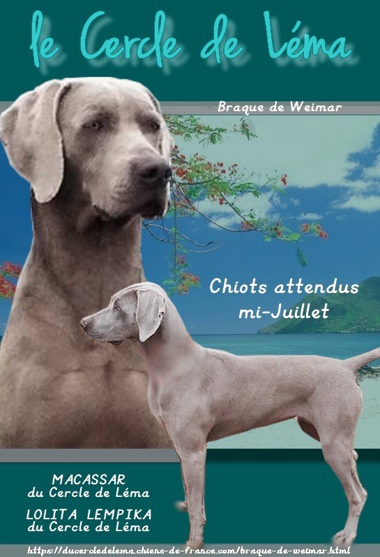 Du Cercle De Léma - Ils seront bientôt là...