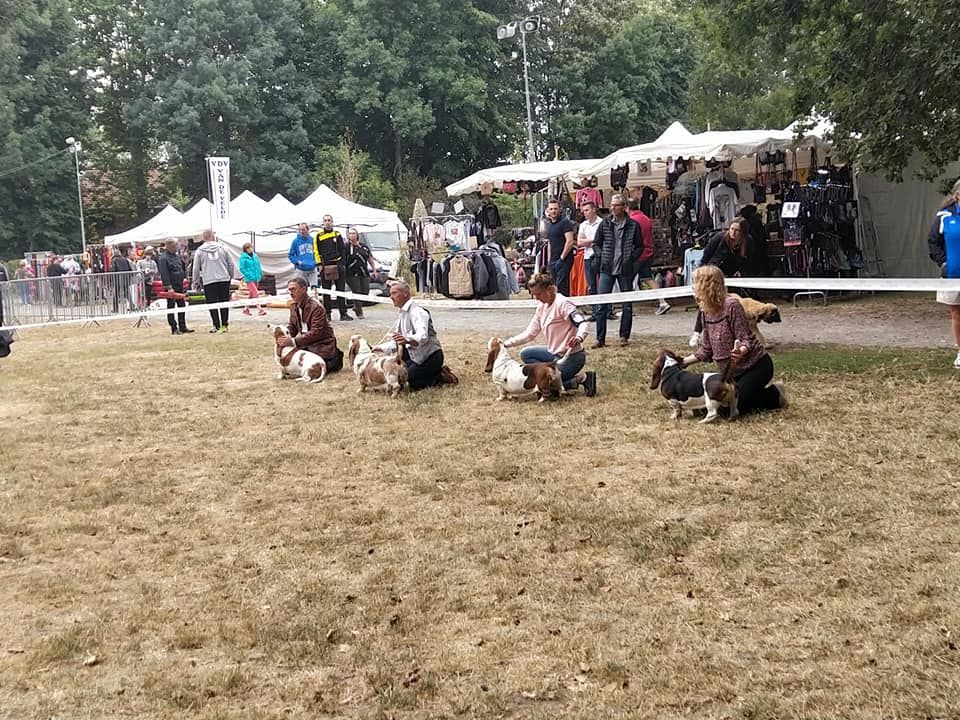 Du Cercle De Léma - Résultats Exposition canine de Dompierre 08/09/19