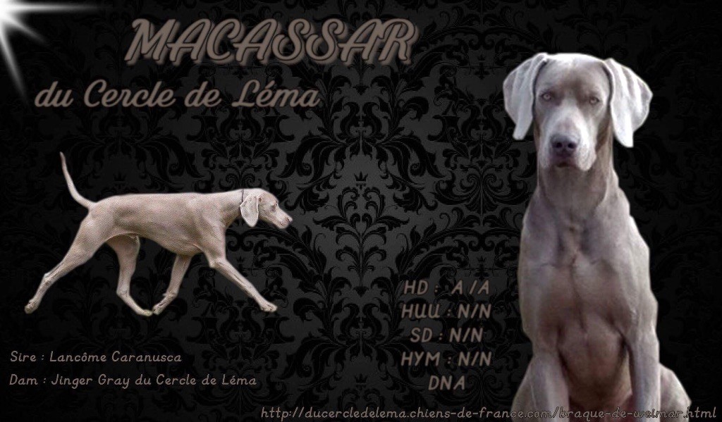 Du Cercle De Léma - Macassar du cercle de Léma 