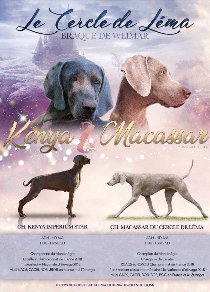Du Cercle De Léma - Kenya et Macassar une alliance d'exception