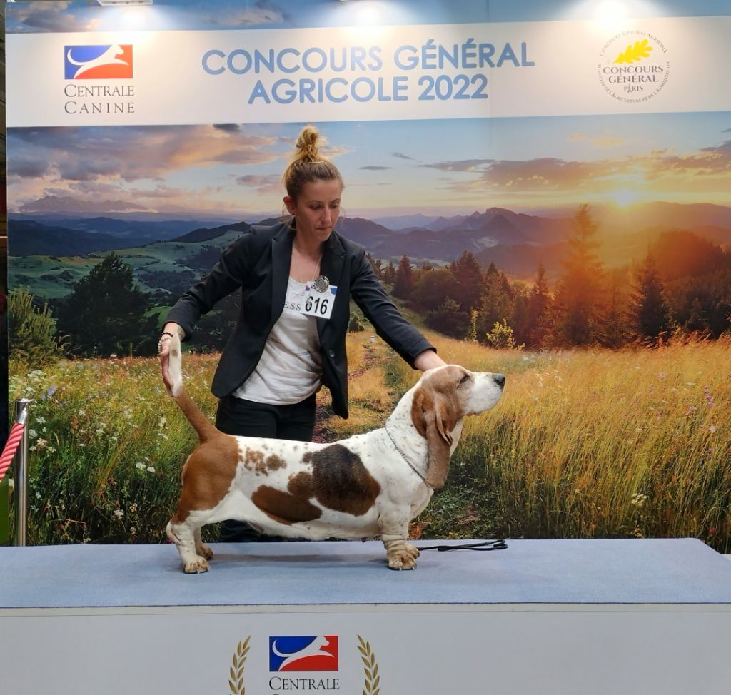 Du Cercle De Léma - Concours général agricole 2022