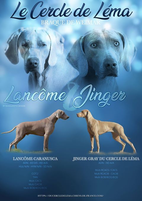Du Cercle De Léma - Des petits pour fin novembre...