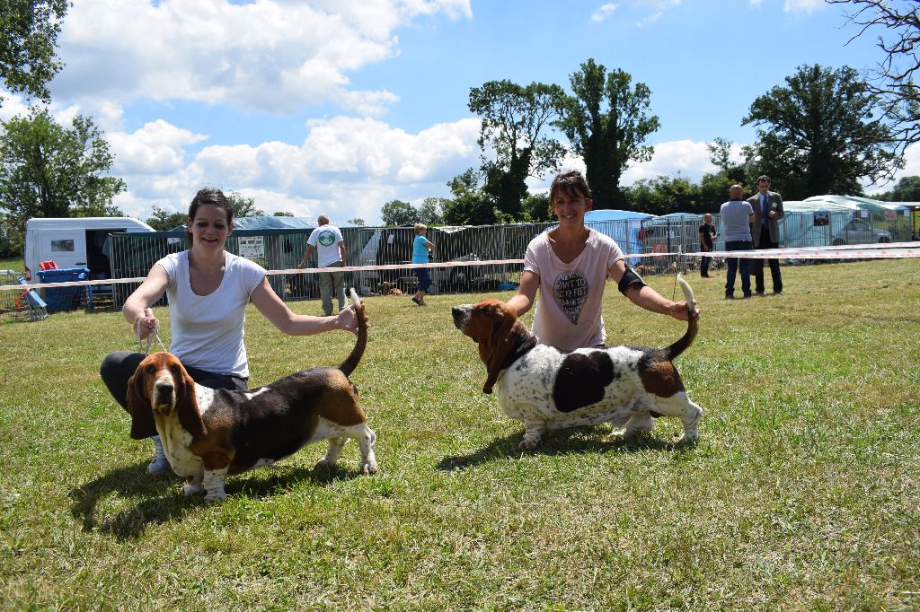 Du Cercle De Léma - Les résultats de l'exposition canine de Cressat