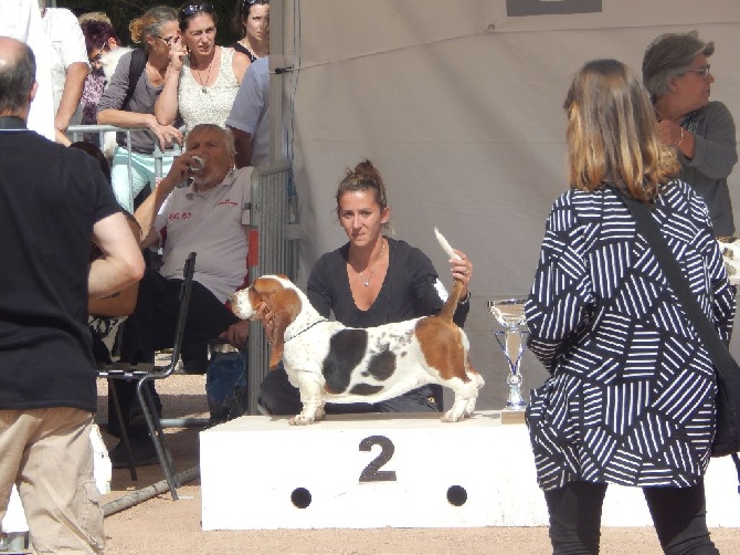 Du Cercle De Léma - Bravo à Lotus, Exposition canine Châteguyon