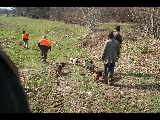 Du Cercle De Léma - BRAVO MES HOUNDS....