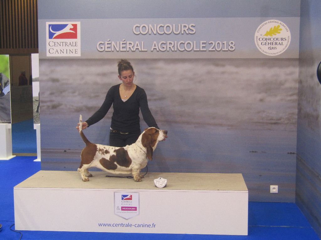 Du Cercle De Léma - Concours Général Agricoles 2018