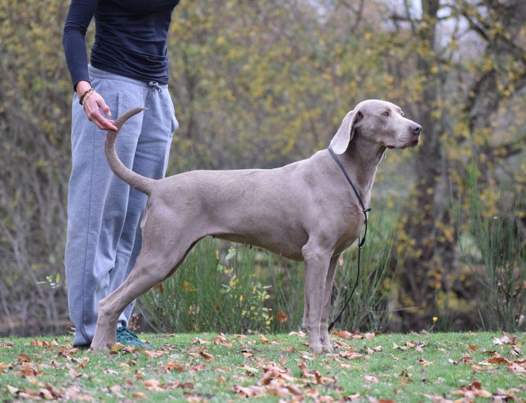 Shooting photos pour Tulipe du Cercle de Léma 