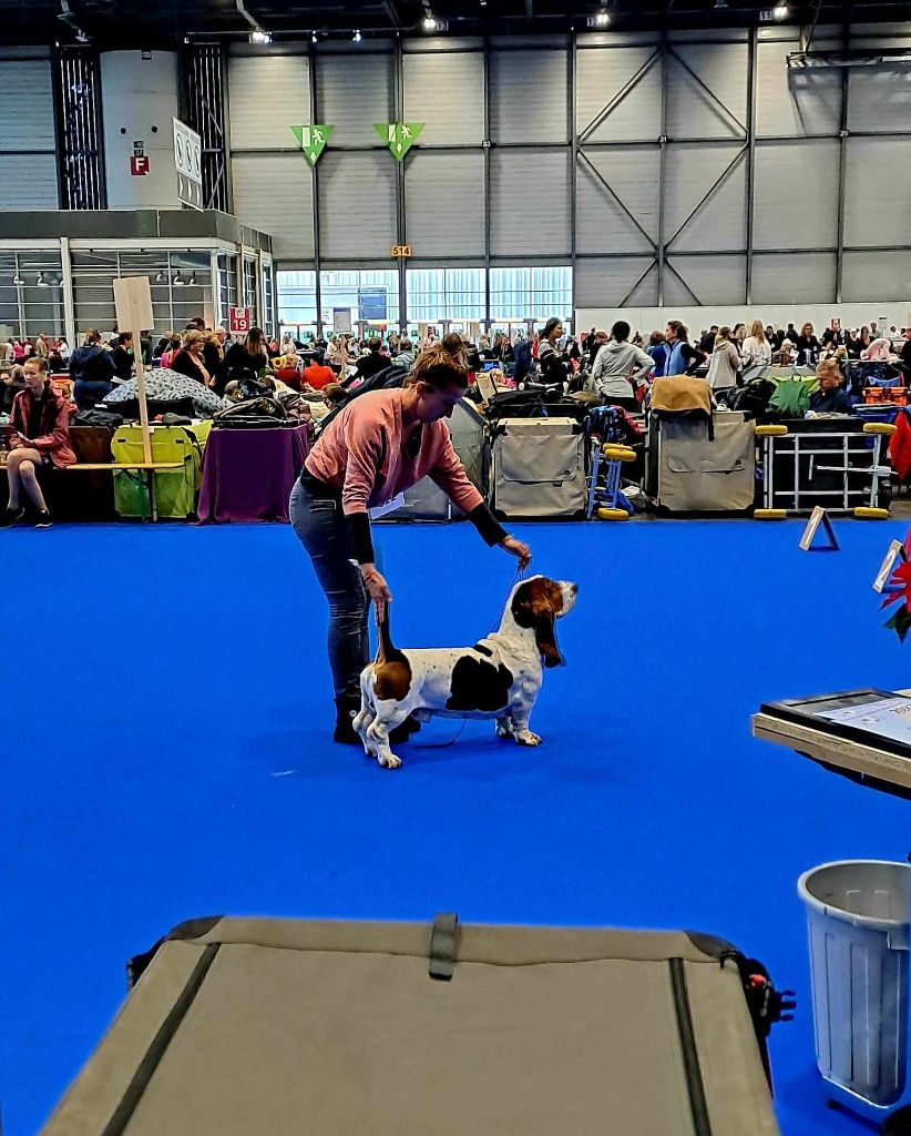 Du Cercle De Léma - La boucle est bouclée, Philibert est champion Suisse beauté