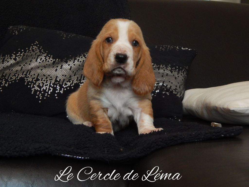 Du Cercle De Léma - Nos bébés en Vidéo...