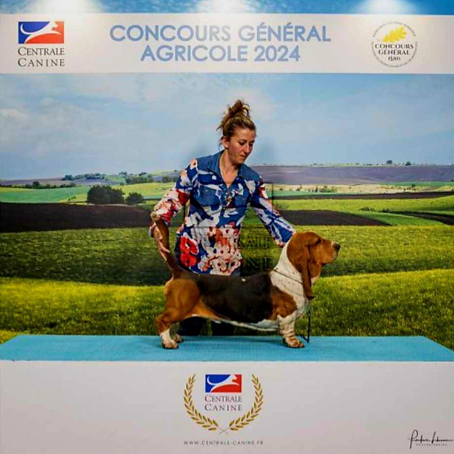 Du Cercle De Léma - Notre beau Rallier au salon de l'agriculture 2024