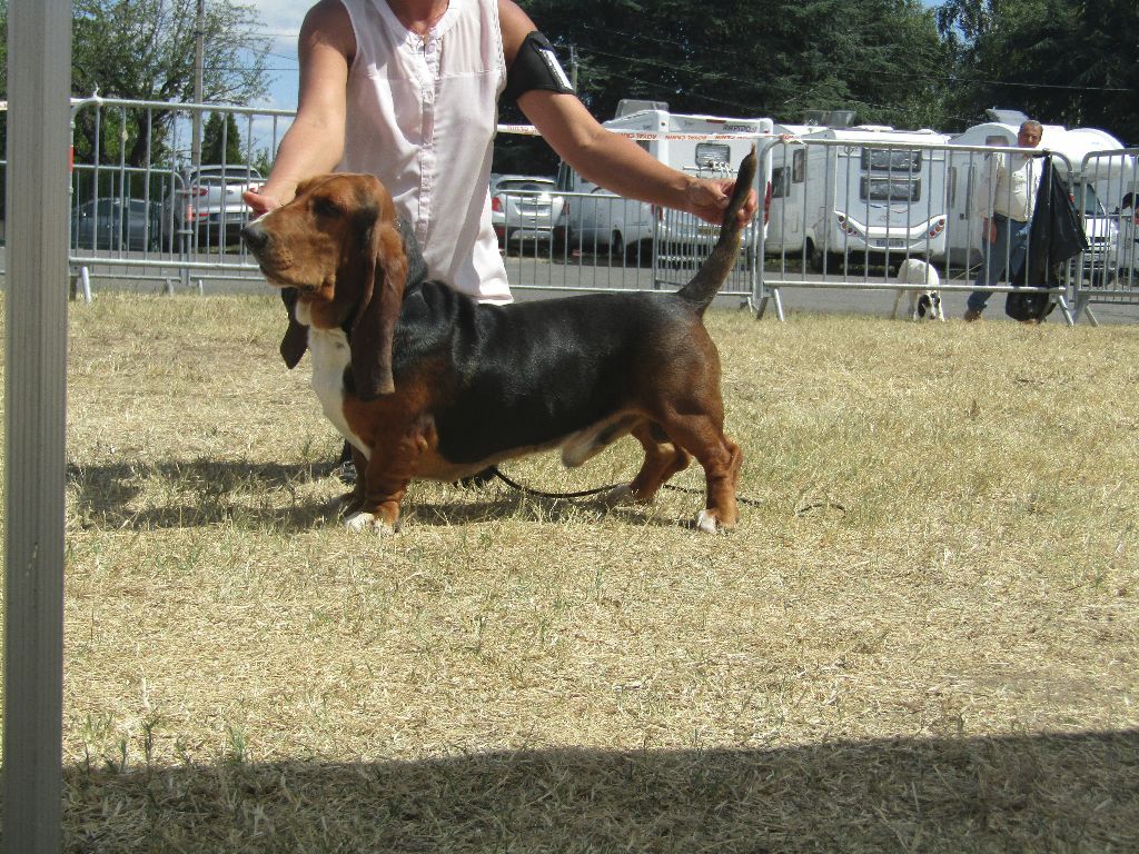 Du Cercle De Léma - Résultats Exposition canine de Chatelguyon