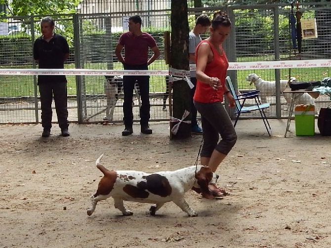 Du Cercle De Léma - Résultat: exposition canine Le Puy en Velay