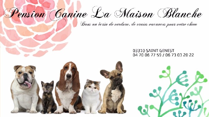 Du Cercle De Léma - Notre pension canine "La maison blanche"