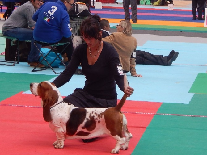Du Cercle De Léma - Résultats de l'exposition canine d'Orléans 08/10/16
